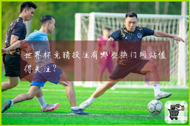 世界杯竞猜投注有哪些热门网站值得关注？