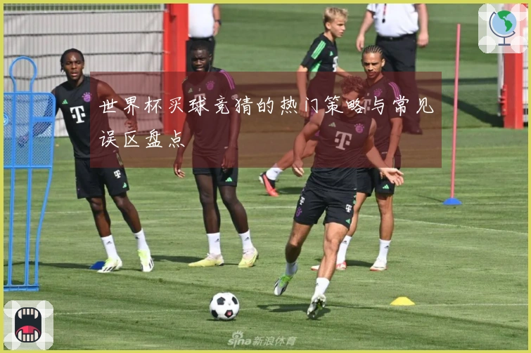 世界杯买球竞猜的热门策略与常见误区盘点