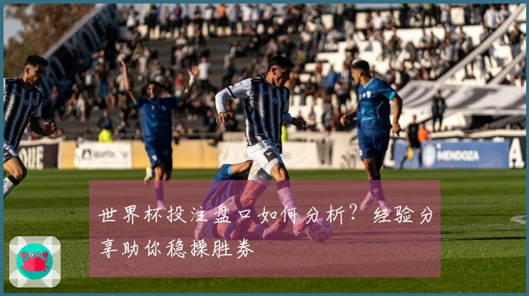 世界杯投注盘口如何分析？经验分享助你稳操胜券