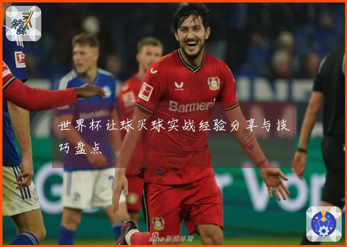 世界杯让球买球实战经验分享与技巧盘点