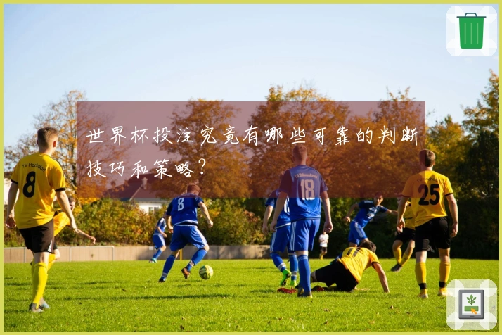 世界杯投注究竟有哪些可靠的判断技巧和策略？