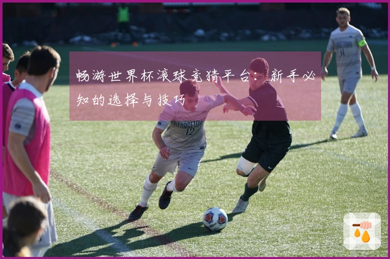 畅游世界杯滚球竞猜平台：新手必知的选择与技巧