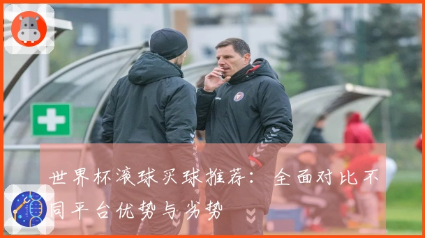 世界杯滚球买球推荐:全面对比不同平台优势与劣势