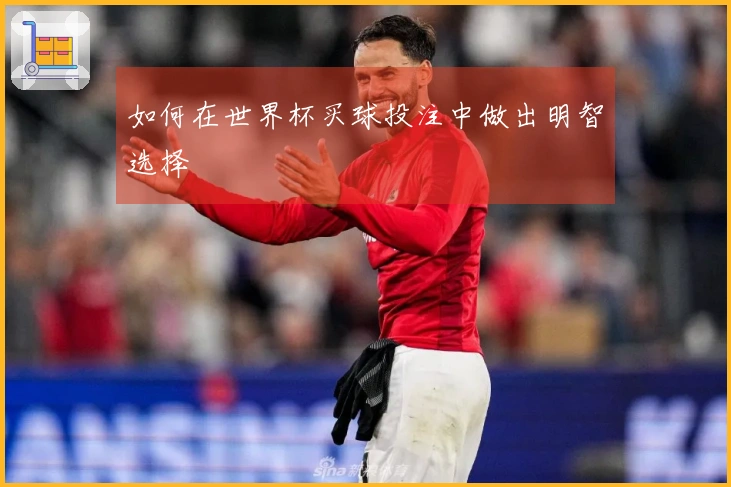 如何在世界杯买球投注中做出明智选择