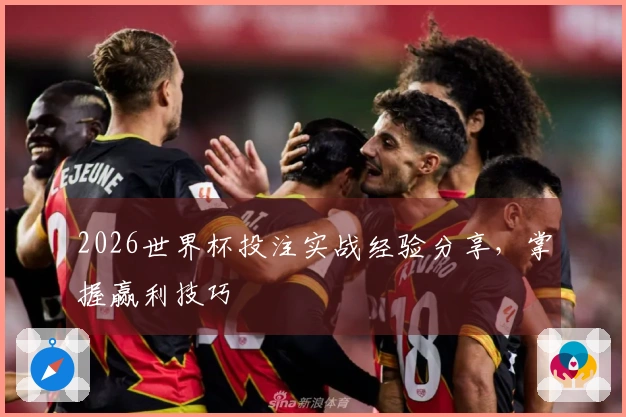 2026世界杯投注实战经验分享，掌握赢利技巧