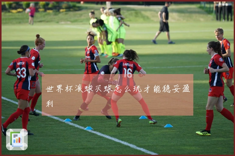 世界杯滚球买球怎么玩才能稳妥盈利