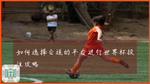 如何选择合适的平台进行世界杯投注攻略