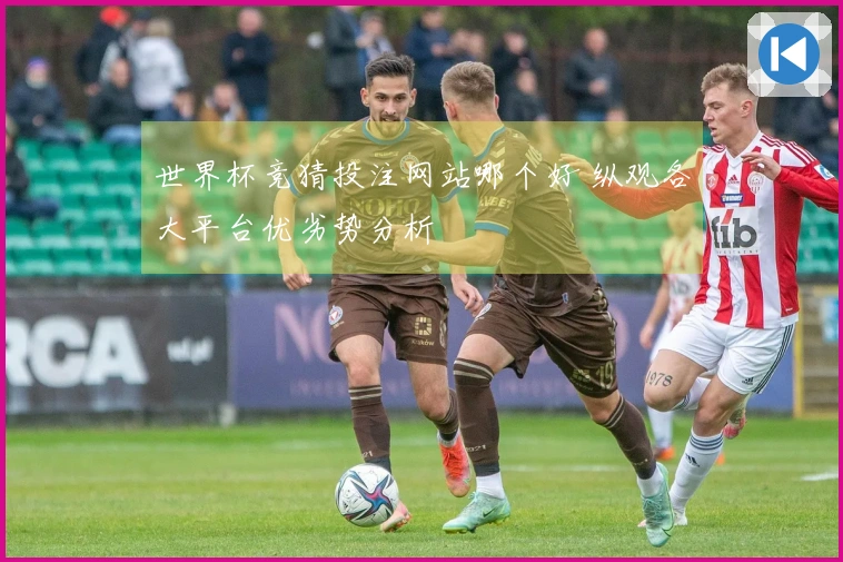 世界杯竞猜投注网站哪个好 纵观各大平台优劣势分析