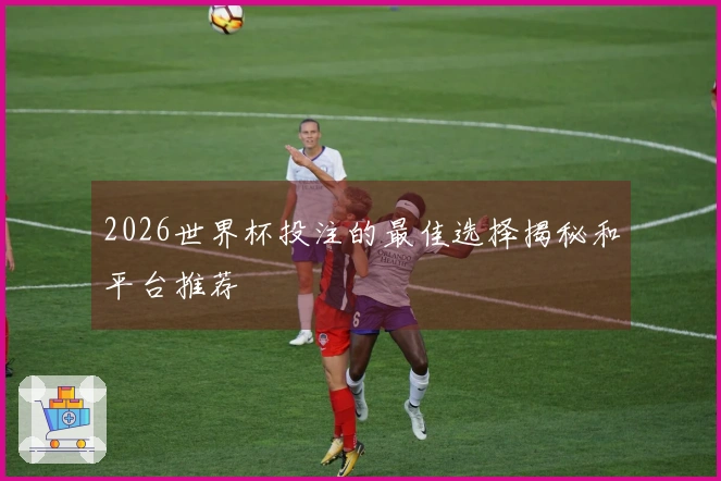 2026世界杯投注的最佳选择揭秘和平台推荐