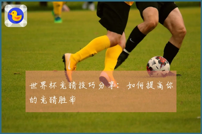 世界杯竞猜技巧分享：如何提高你的竞猜胜率