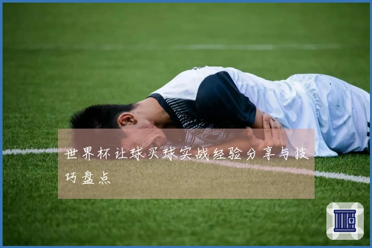 世界杯让球买球实战经验分享与技巧盘点