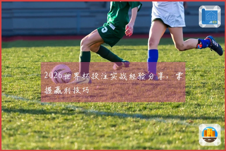 2026世界杯投注实战经验分享，掌握赢利技巧