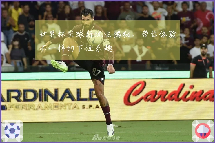 世界杯买球新玩法揭秘，带你体验不一样的下注乐趣