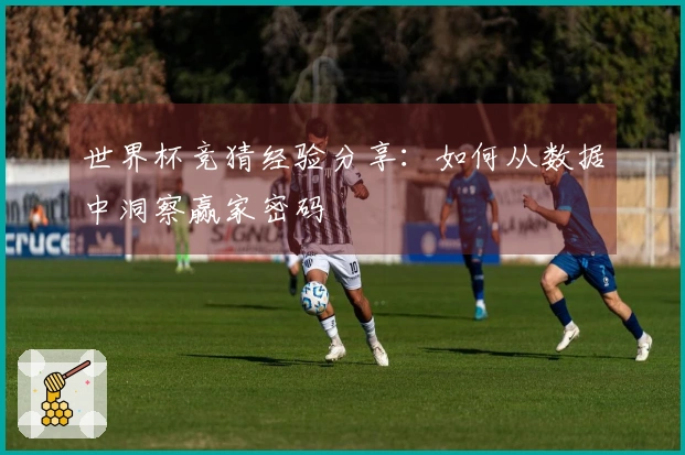 世界杯竞猜经验分享：如何从数据中洞察赢家密码