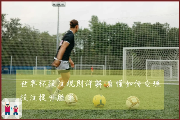 世界杯投注规则详解 看懂如何合理投注提升胜率